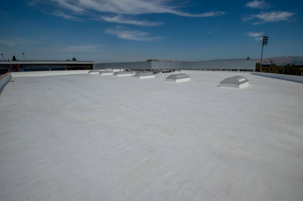 Best Roof Maintenance and Cleaning  in Delta, OH