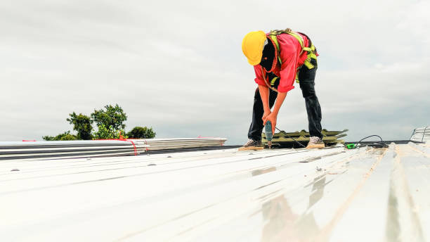 Best Rubber Roofing (EPDM, TPO)  in Delta, OH